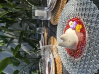 Panna Cotta
